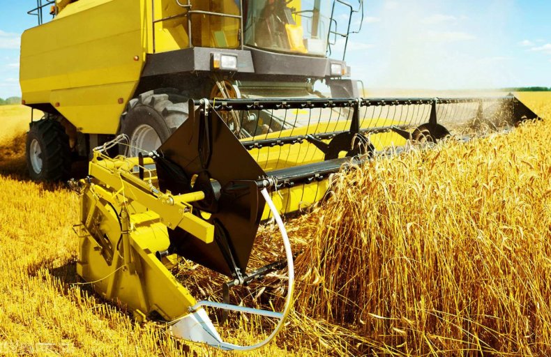 Фермеры назвали наиболее востребованные профессии сектора АПК Украины