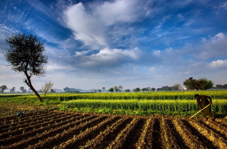 Индия и Аргентина укрепляют двустороннее сотрудничество в сельском хозяйстве