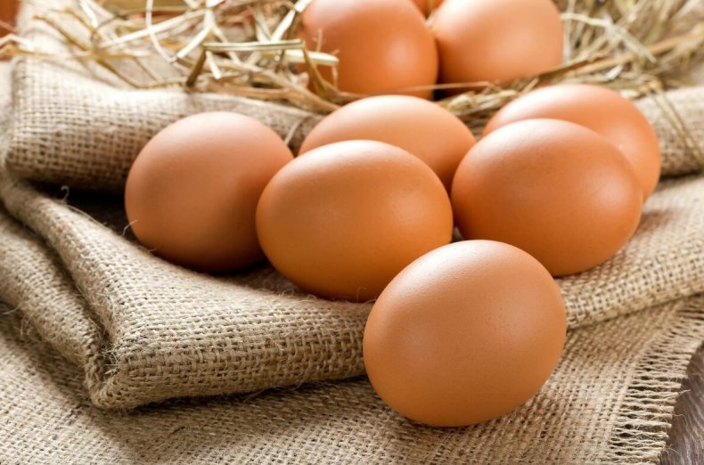 Германия наращивает производство яиц и снижает их импорт