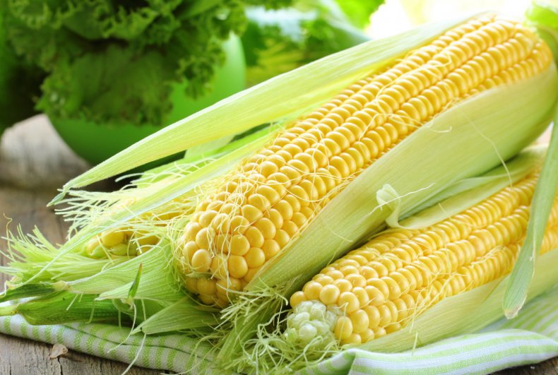 Фермеры Бразилии получили 6 новых гибридных сортов кукурузы