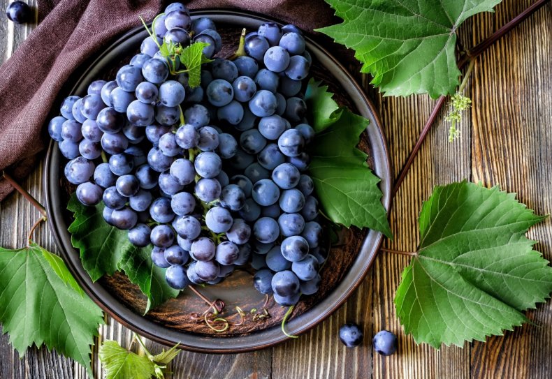 Николаевские виноградари и ягодники открывают для себя сети HoReCa