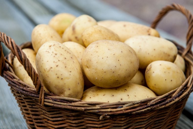 Урожай картофеля в Польше может быть на 1 миллион тонн меньше, чем в 2018 году