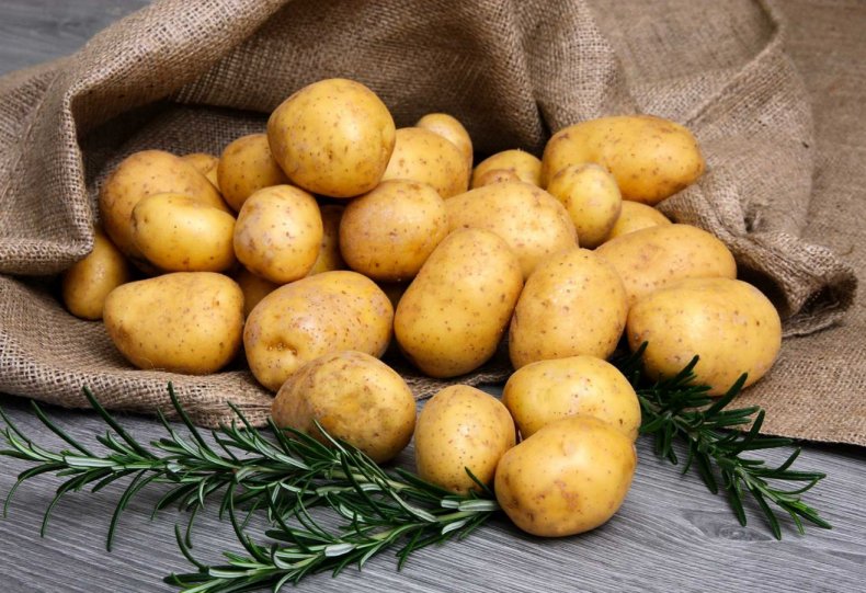 Урожай картофеля в Польше может быть на 1 миллион тонн меньше, чем в 2018 году