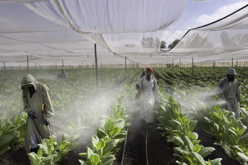 Бразильские фермеры используют рекордное количество пестицидов