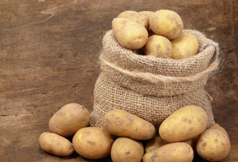 Под прицелом канадских инвесторов оказались брянские картофелеводы