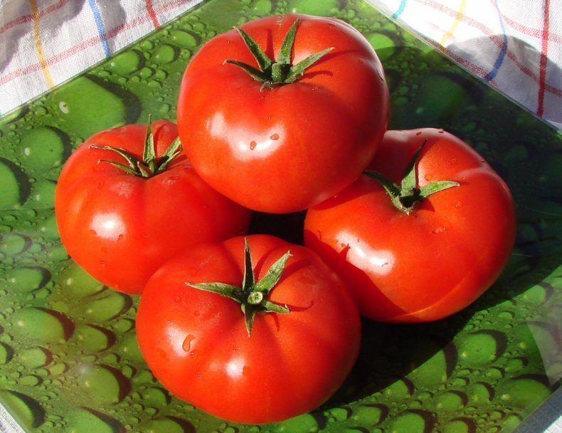 Syngenta представила новый сорт пурпурных томатов Yoom