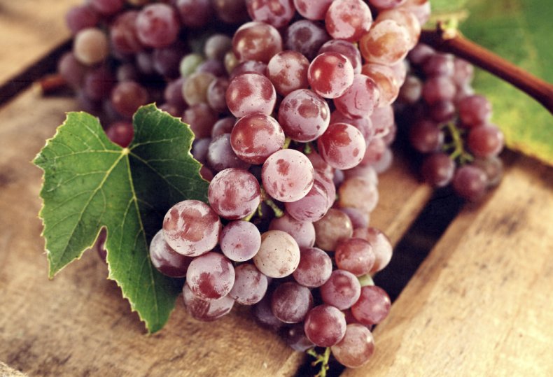 60 гектаров виноградников высадят в Ростовской области