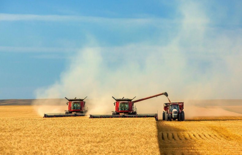 Сельское хозяйство южной Европы может стать убыточным