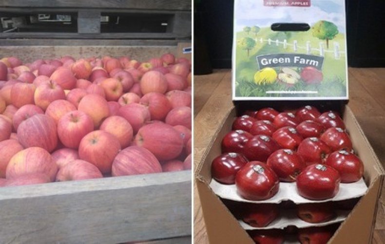 Украинская торговая компания будет экспортировать яблоки в Африку