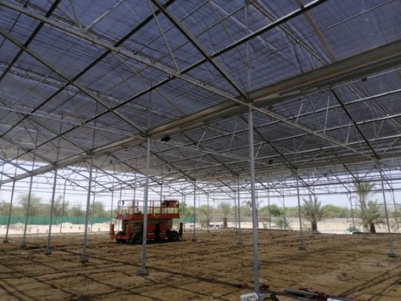 Крупная гидропонная ферма строится в ОАЭ