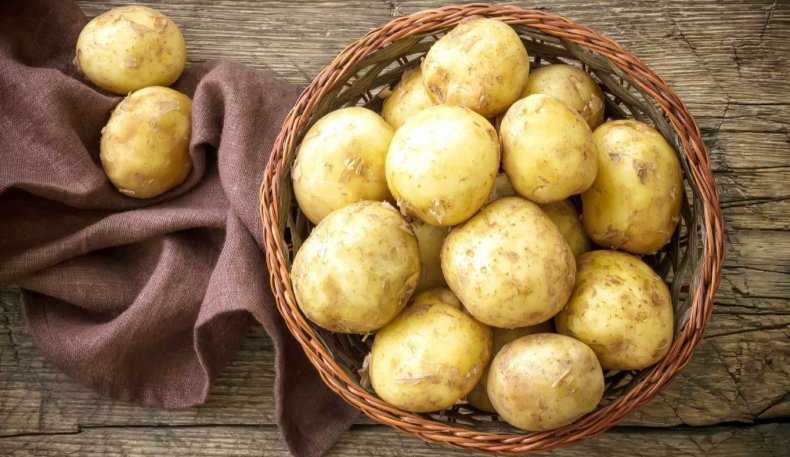 Новгородские аграрии потеряют четверть урожая картофеля из-за дождей