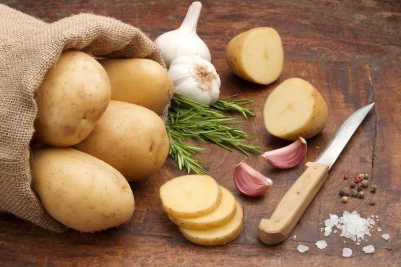 Новгородские аграрии потеряют четверть урожая картофеля из-за дождей