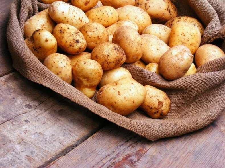 В Нижегородской области собрали на 90 тысяч тонн картофеля больше, чем в 2018 году