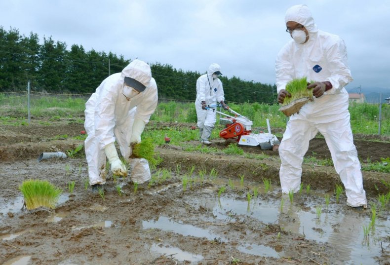 Продукты из Фукусимы могут быть поданы на Олимпийских играх в Токио