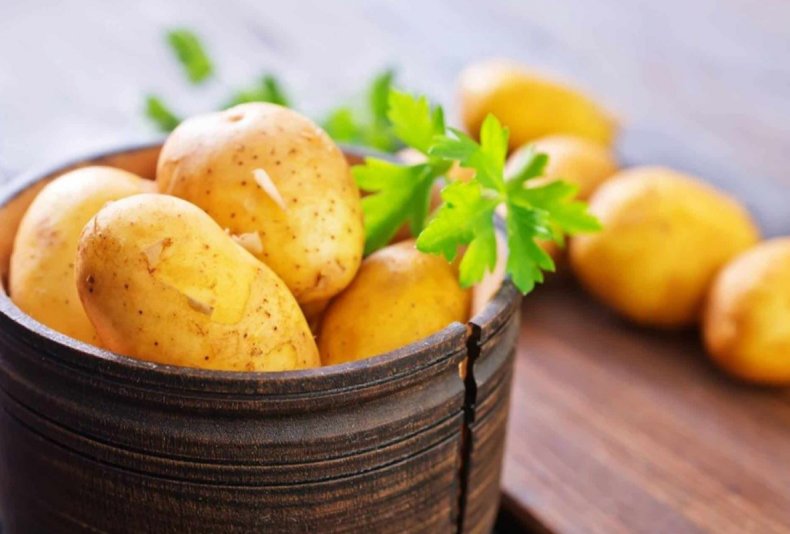 В Сумской области больше 99 процентов картофеля выращивается в индивидуальных хозяйствах