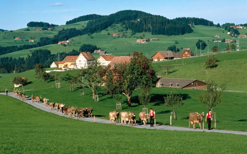 Фермеры Германии жалуются на нехватку сезонных рабочих