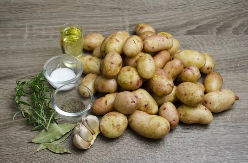 В Подмосковье зафиксирован рекордный урожай картофеля