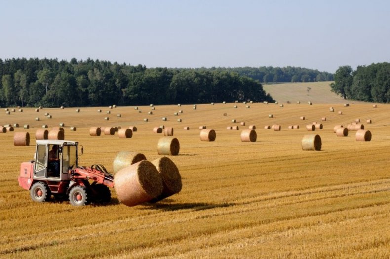 Всё больше фермеров Германии отказываются от ведения сельского хозяйства
